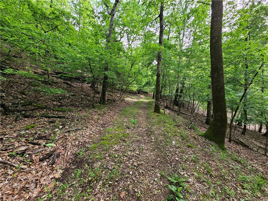 Glen Oaks - Land