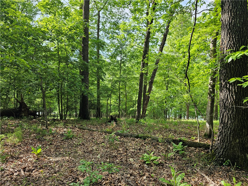 Glen Oaks - Land