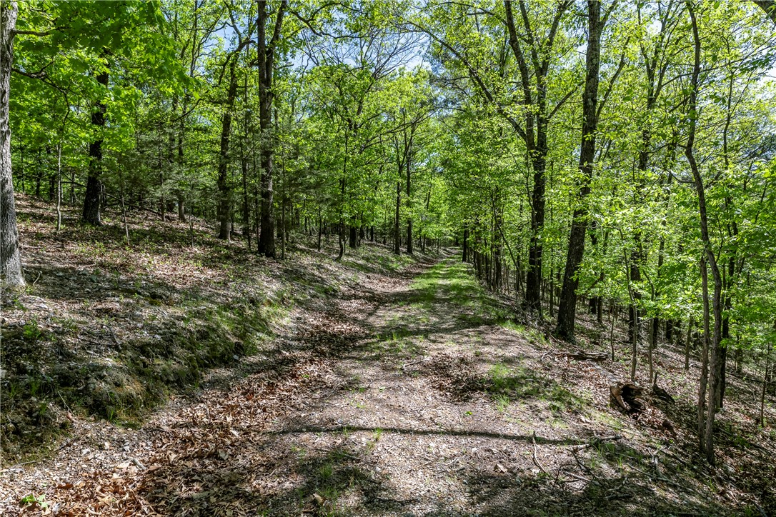 Glen Oaks - Land