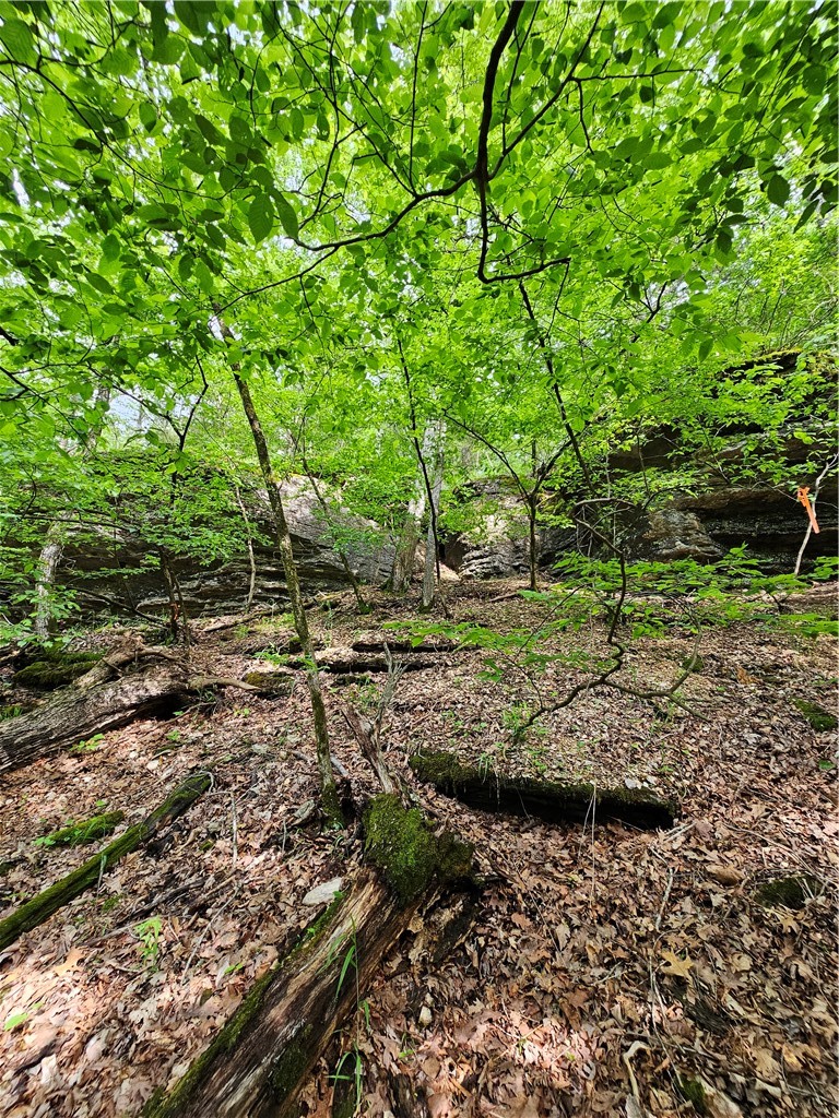 Glen Oaks - Land