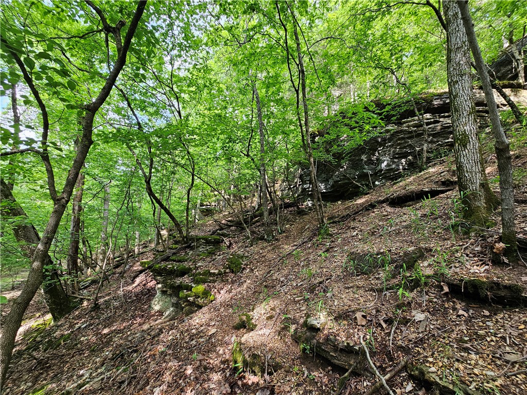 Glen Oaks - Land