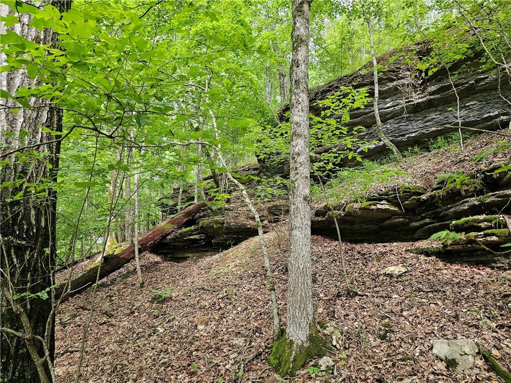 Glen Oaks - Land