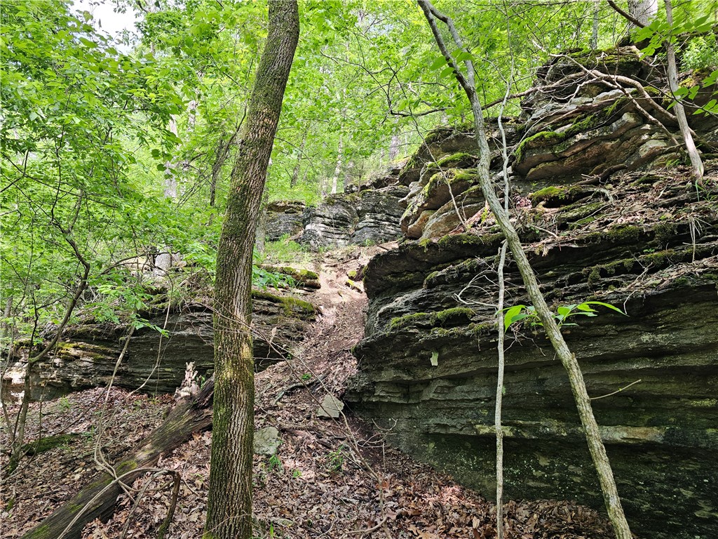 Glen Oaks - Land