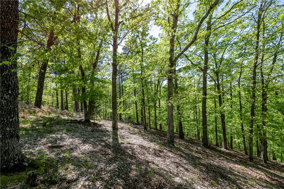 Glen Oaks - Land