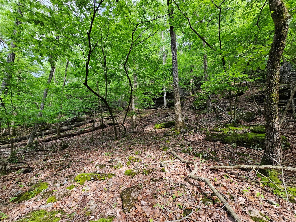 Glen Oaks - Land