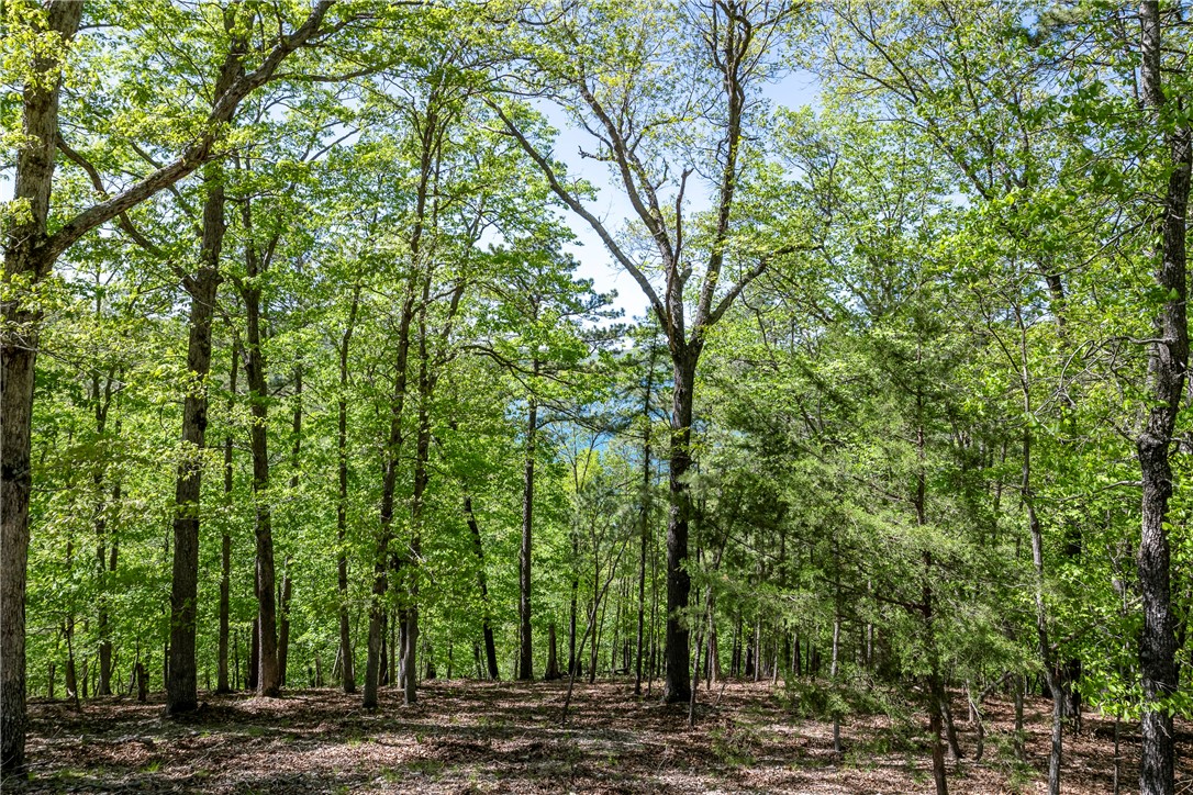 Glen Oaks - Land