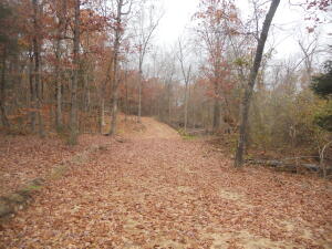 Great wooded building site with views to the east, road has already been built onto the property.  Rural water and electric available, located in Newton County with a short drive to the Buffalo River and into Harrison.  Seller willing to divide property.