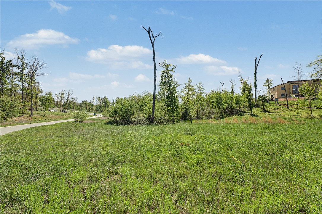 Healing Springs Phase 2 - Land