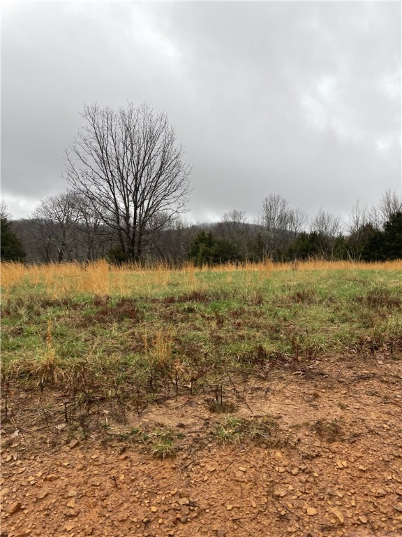 10-14-25 - Land