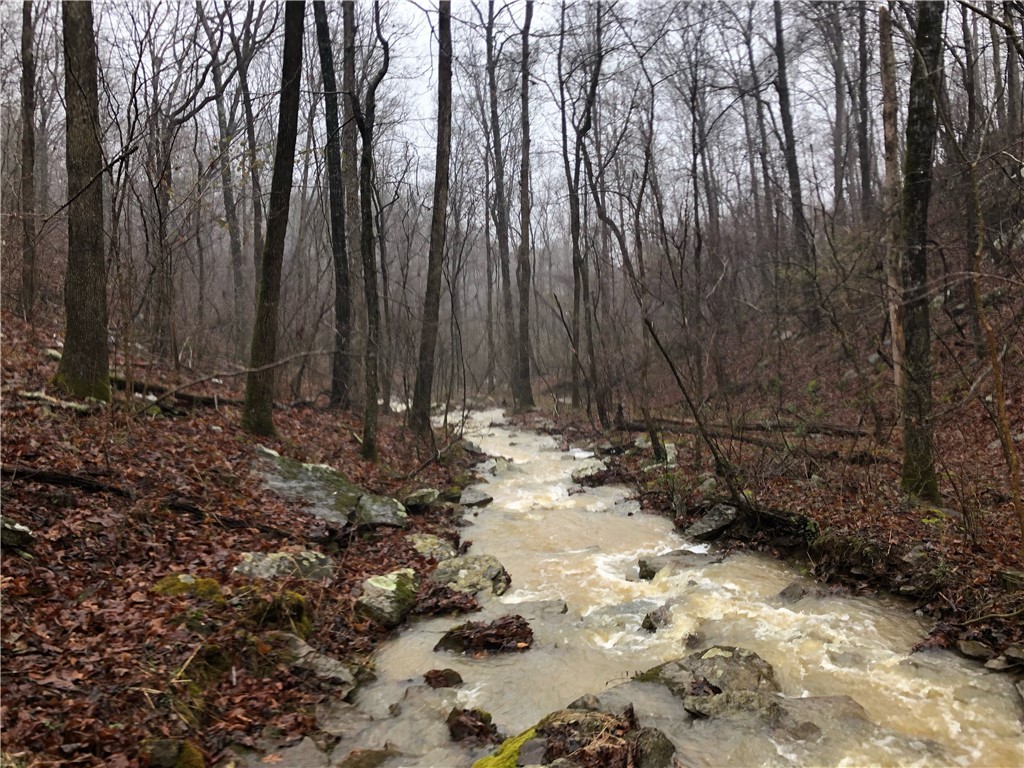 10-14-25 - Land