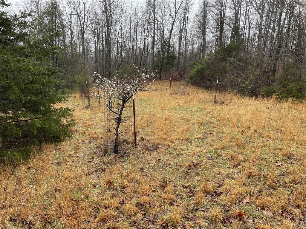 10-14-25 - Land