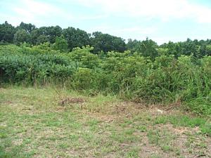 Neat building lot in country subdivision in Bergman area. Road frontage, water and electric available. Shares a pond with the neighbor. Buyer to confirm availability of utilities.