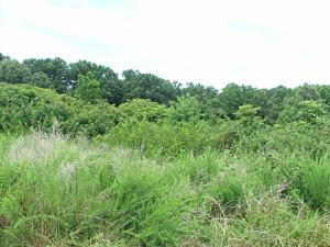 High Ridge Estates - Land