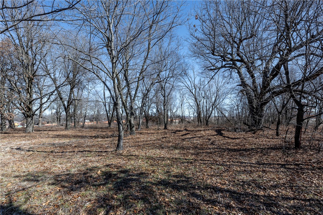 Springdale Outlots - Land