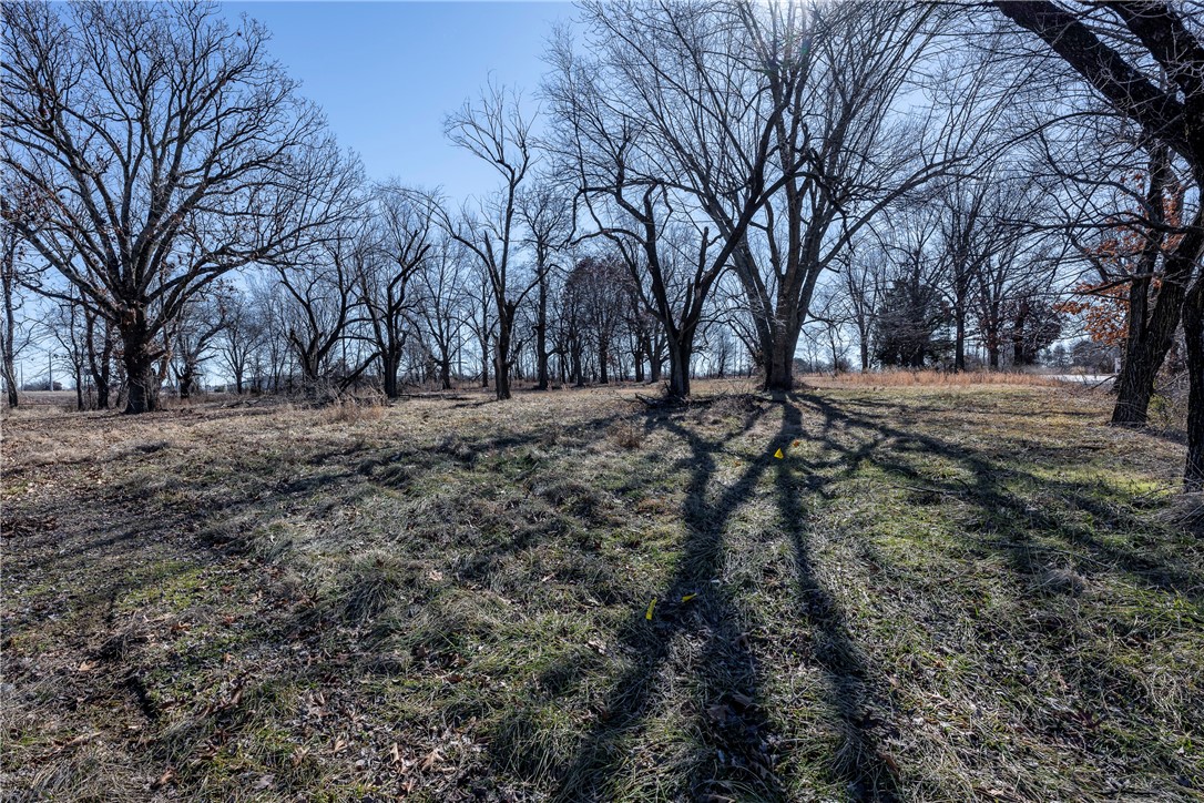 Springdale Outlots - Land