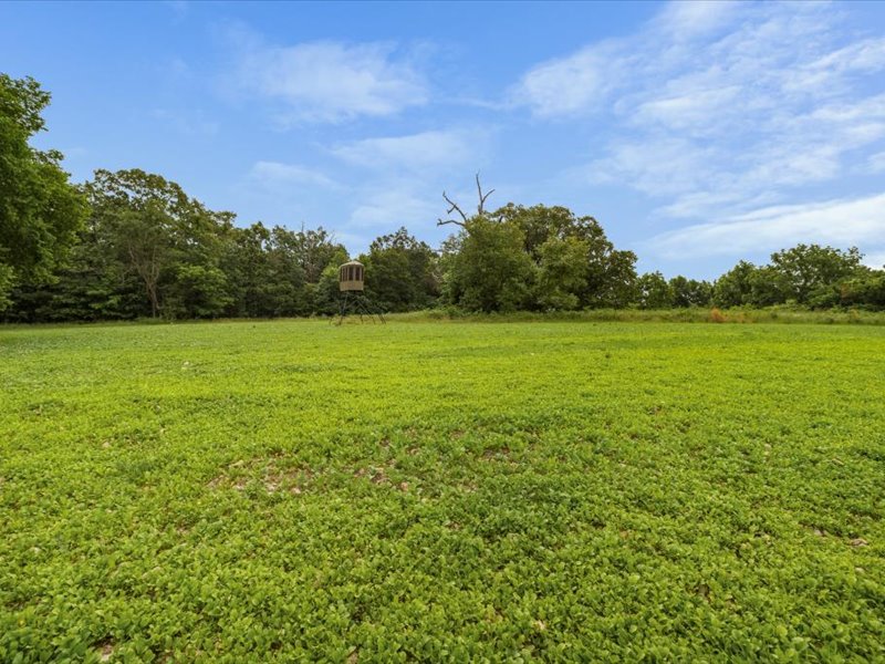 rural - Residential