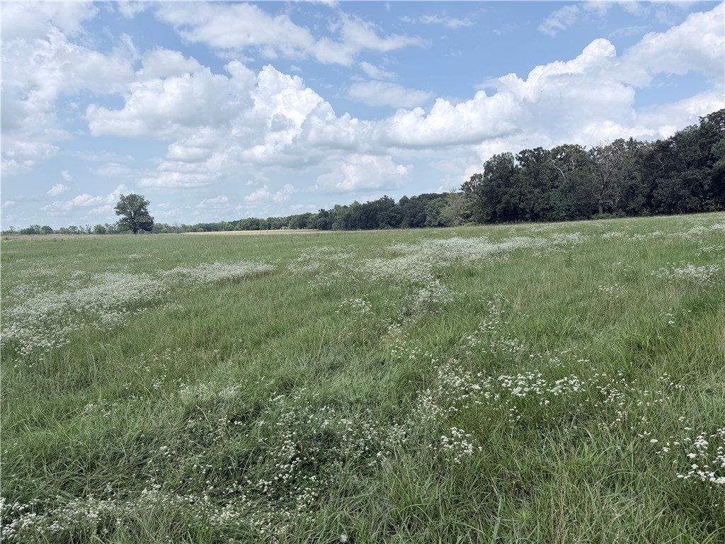 88± acres of beautiful farmland, ready for cattle or your dream ranch! Mostly cleared, flat, and usable with a large pond and easy highway access. Located on a well-maintained gravel road just 20 minutes from Siloam Springs and only 3 miles from Maysville. Perfect for livestock, farming, or building your country retreat. Endless possibilities on this prime property! Other 76 acre's for sale next to property.