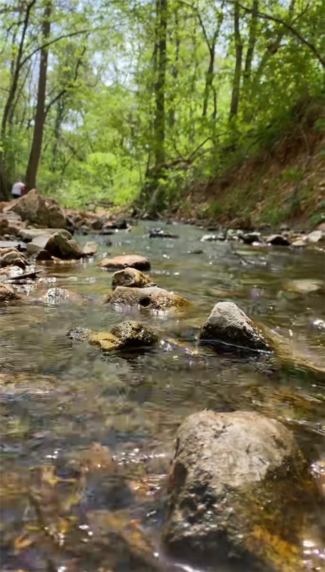 Welcome to country living while still not too far away from the city.  There is a water connection ready for you to build your home and a seasonal creek with some area open.  Plenty of room to build and have privacy   Come see this today!