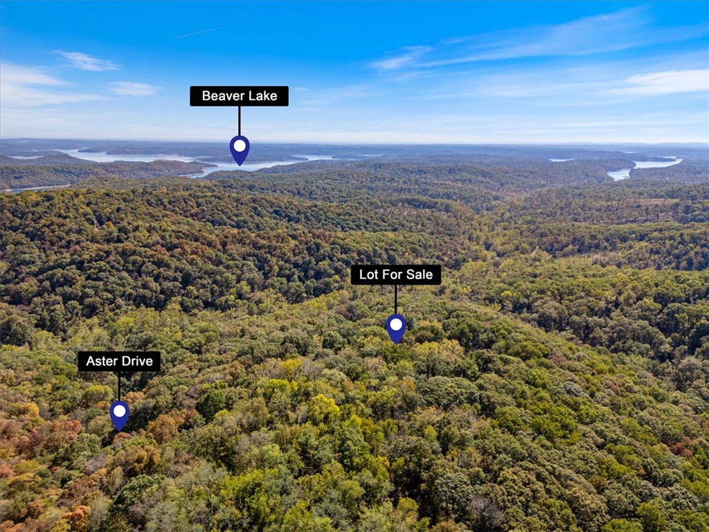 Lot 262 in Posy Mountain Ranch with amenities of Lost Bridge Village (Airstrip, Boat Ramp access,
Community Building & Library, Neighborhood parks, Recreation Center & Pool, Tennis courts). New LBV
Recreation Area Master Plan includes new Pavilion, Picnic Area, Nature Trails, Overlook Point, Pickleball
Courts, Bocce Ball Court, New Playground, and more! Fantastic opportunity and location to build a primary
home or vacation property. No Mobile Homes allowed. Adjacent 0.43-acre lot (MLS#1288531) also
available!