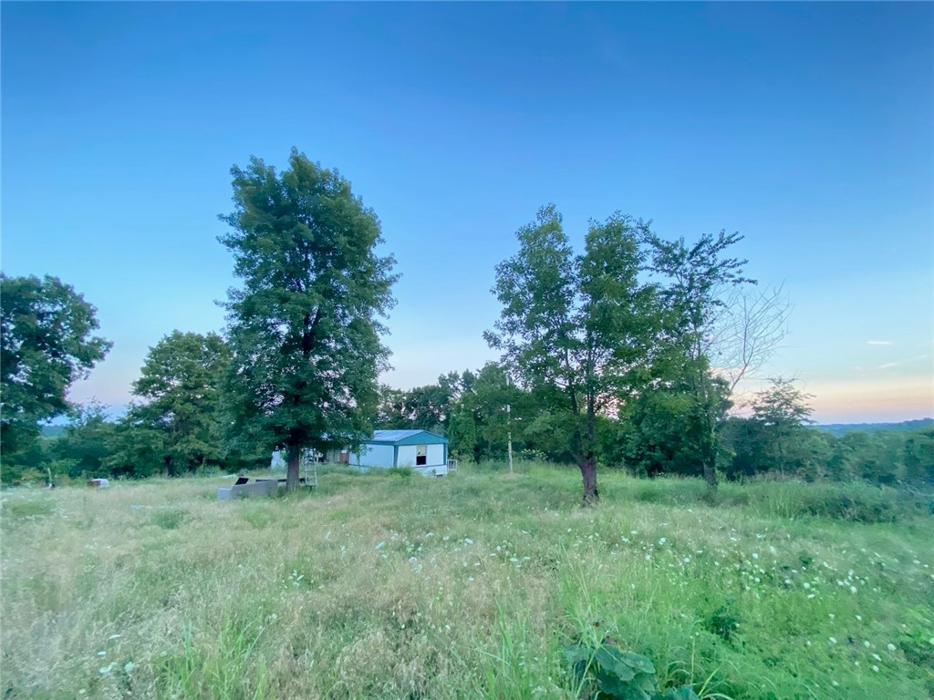 Moark Land Co #2 Un 202 - Land