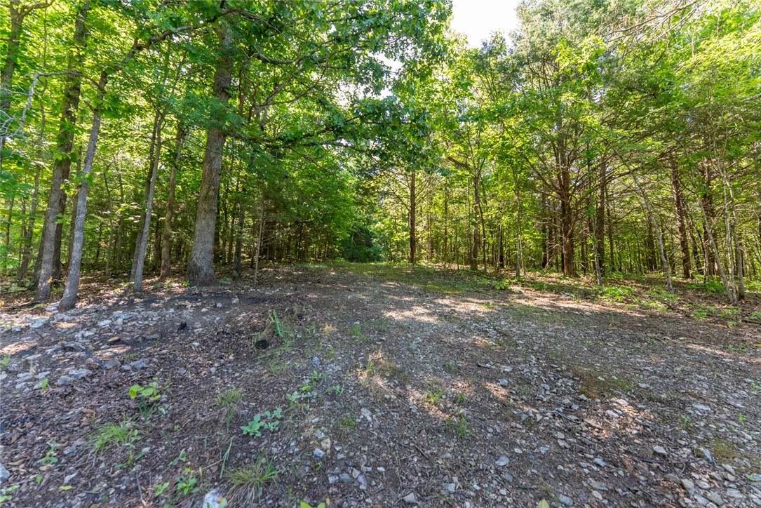 Stafford Acres - Land