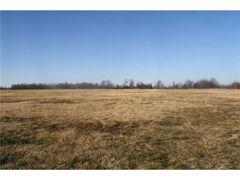 Great Development Potential !  Must see this beautiful, 60+ acre property to appreciate!   Property is level and mostly cleared with beautiful trees in the SE corner, with 2,659 sq ft of highway frontage.,Just 3.9 miles SW of new high school location!