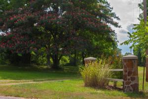 COUNTRY PROPERTY WITH CAVE, Year-round CREEK, Wet Weather SPRING, 39 acOR(24 ac $260,000) to hike/hunt& connected 30x40 & 24x28 Shop Blds w/elec & water. House has Hardwood Floors, Wood FP, Pella windows w/blinds enclosed, Updated kitchen w/SS appliances & W/D included, Screened-in porch, Large Deck and Finished Walk-out Basement space.  Private-yet is on a paved road-only a few minutes from town!