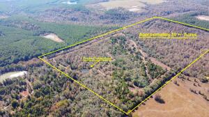 Available now, this serene 80-acre property in Cleveland, AR, offers a peaceful natural setting complete with a thriving plum orchard, a habitat rich with quails, deer, rabbits, turkey, and native grasses, with smooth and easy to ride roads for easy property access. The land includes an onsite quarry of building stone for construction or artisanal stonework. A natural aquifer provides a reliable water source throughout the year, and the presence of natural salt licks creates a wildlife oasis that is particularly inviting to deer. This land presents a unique chance to create a personal haven, develop a sustainable agricultural enterprise, or establish a recreational sanctuary. Reach out to us for more details or to schedule a visit to experience the true splendor of this Arkansas gem.