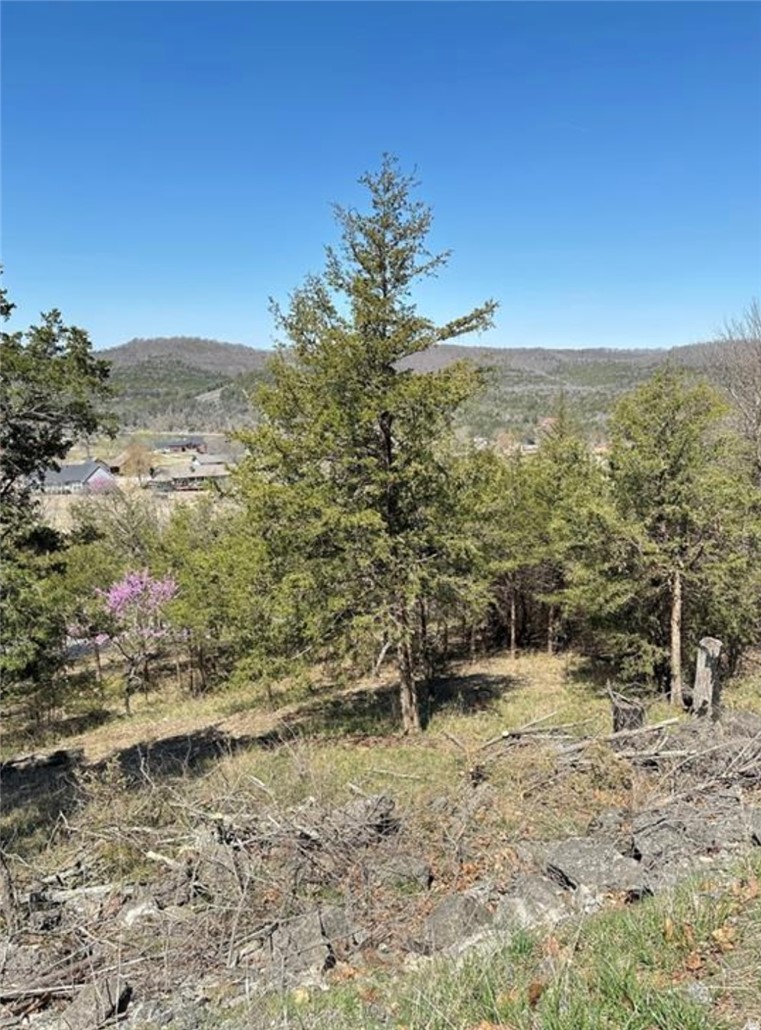 Take in sweeping, unobstructed views from this beautifully positioned northwest-facing, road-to-road lot overlooking the executive 9-hole golf course. Located on a quiet dead-end street near the cul-de-sac, privacy comes naturally here. A quick stroll or golf cart ride brings you to the recreation center with pools, tennis, and pickleball, while the marina and fishing pier are just minutes away. All of this, plus the charm and energy of historic Eureka Springs nearby—truly the best of both worlds.
