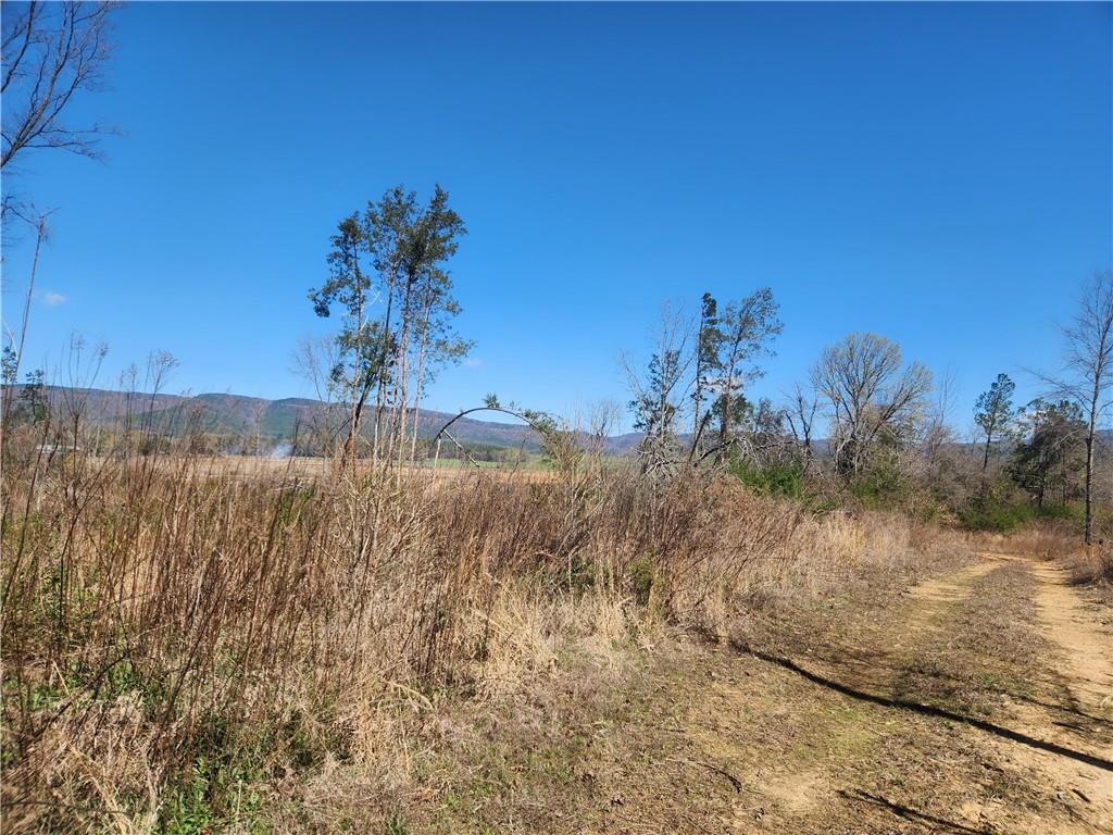 22.78 m/l hard to find acres with great views and lots of potential! This could be just the place for that new home, or a small development, or just keep it for recreation! Big deer have been seen on this property! Only a couple of minutes from fishing on Horsehead Lake, easy access to Clarksville south or the interstate to the west. Call today!