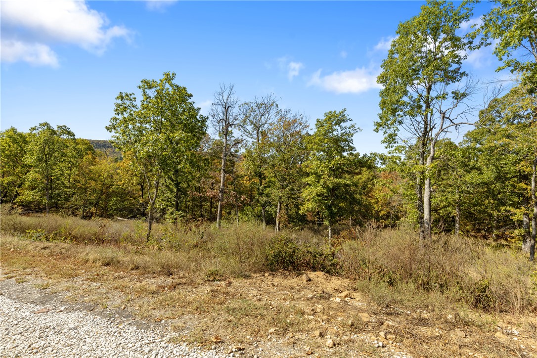 Round Mountain Estates - Land