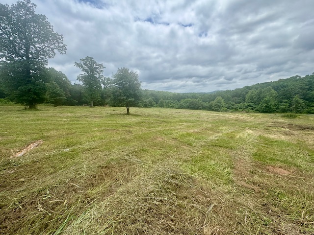10-acre property with a great mix of open pasture and wooded land. This property features a pond, water at the road, and electricity available at the road.

There are several great building spots for a home or manufactured home, with plenty of room for a small farm, animals, or recreational use. The property also offers privacy, peaceful surroundings, and lots of wildlife.

Located just off the main road, it gives you the quiet of country living while still being easy to get to.

A great opportunity to own a nice piece of land in Natural Dam with plenty of potential.