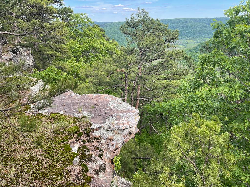 Stone Mountain Sanctuary Estates. Country living at its best. This is a unique opportunity to own a tract of land in an up and coming development. Tracts have great views, good building sites and access right off of Scenic Hwy 7 South of Jasper.  Electric and rural water will be available. Several lots have Ozark National Forest frontage and canyon views.  There are currently eight lots to choose from.  Don't miss this opportunity to get your piece of the Ozarks.  Lot#9 8.42 acres m/l. Exact acreage to be determined by survey