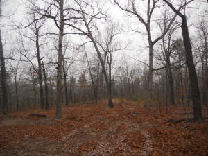 Private location with nice view, very easy access, and joins the National Park Service. Electric and rural water are both available.  Very nice property for the money.