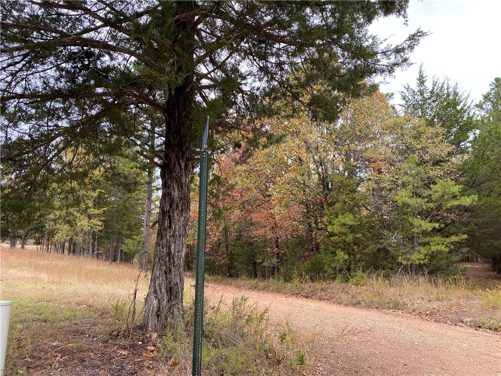 Tanglewood Resort 2 Rurban - Land