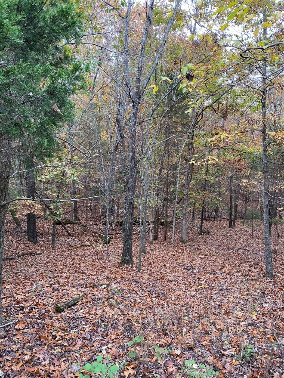 Tanglewood Resort 2 Rurban - Land