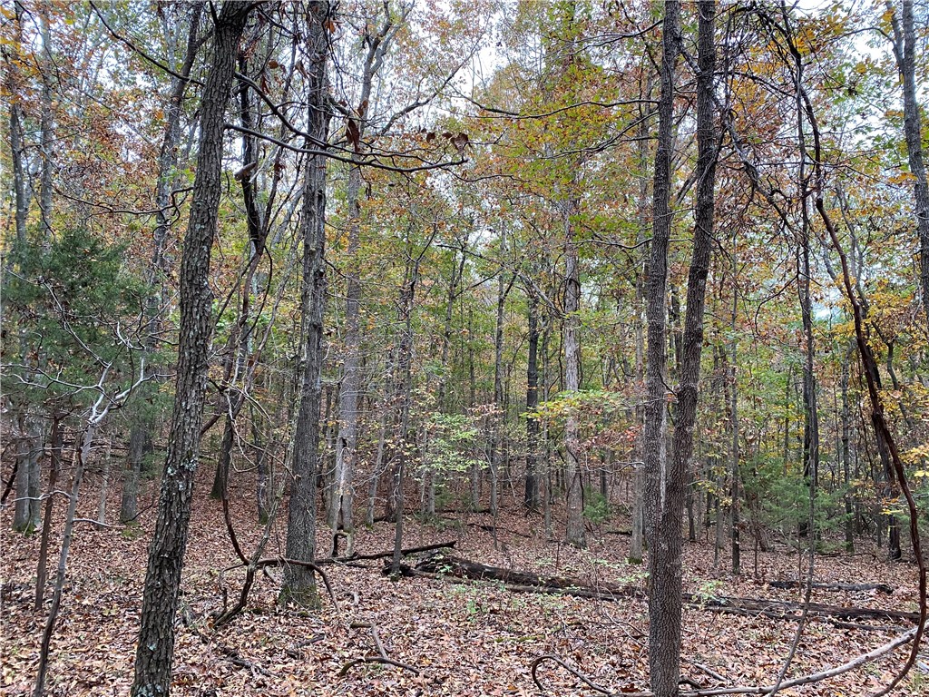 Tanglewood Resort 2 Rurban - Land