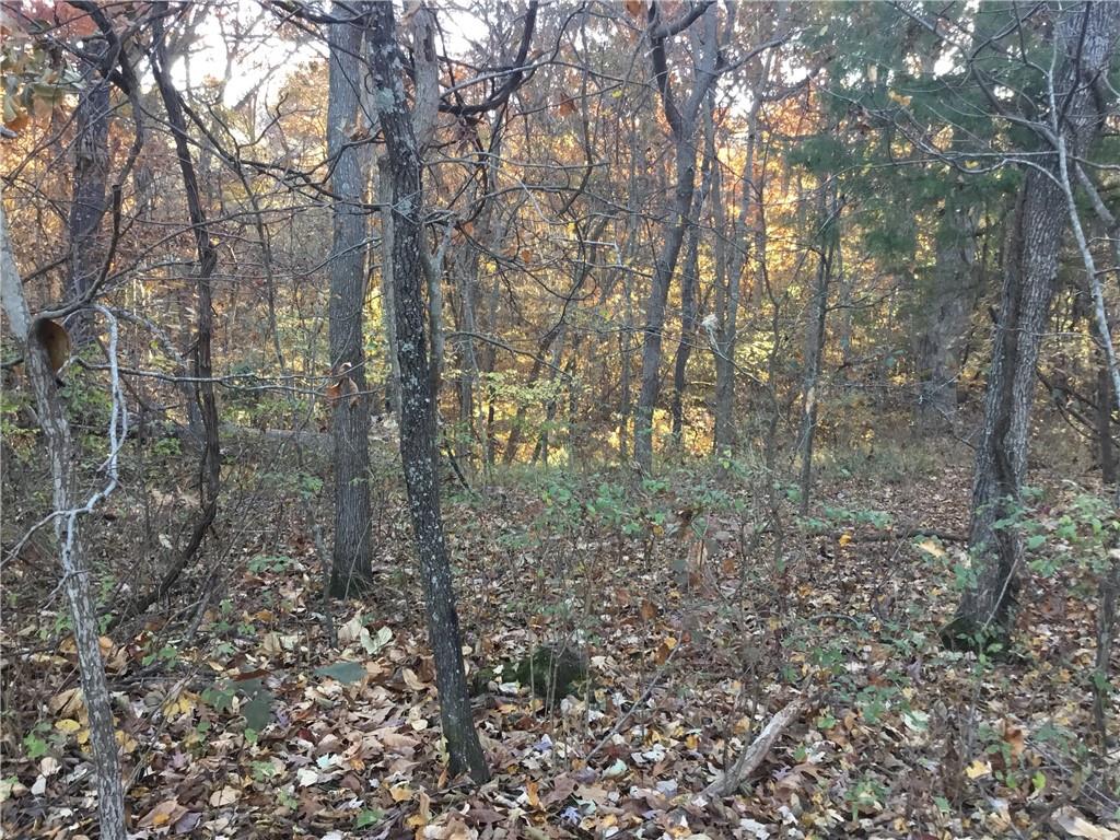 Posy Mountain Ranch Unit 4 Rurban - Land