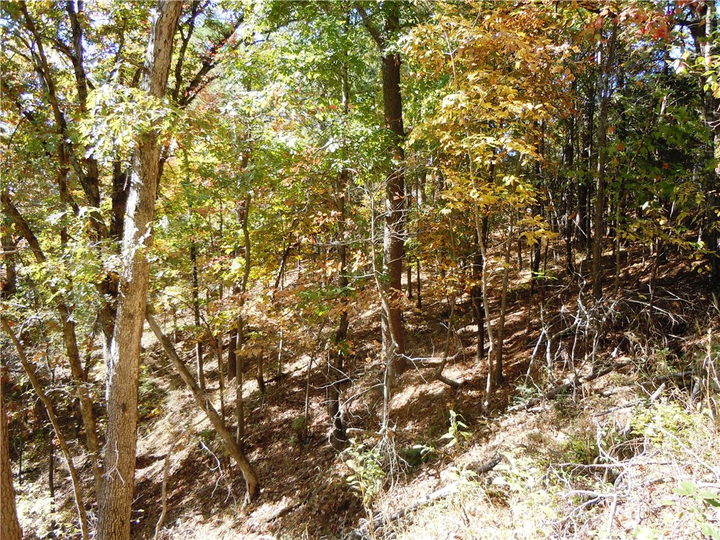 Shelton - Land