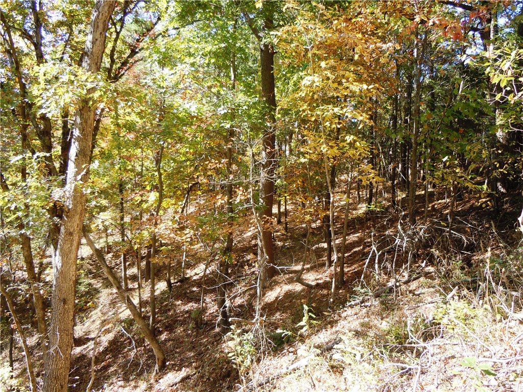 Shelton - Land