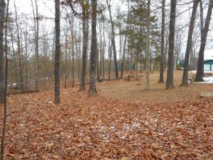 Spring Park - Residential