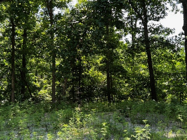Great end of cul-de-sac lot located in Bella Vista. Bella Vista features state of the art bike and hiking trails. Bella Vista POA includes many amenities including golf course access, pools, workout facilities, and more. Short drive to Bike Trails and Lakes.