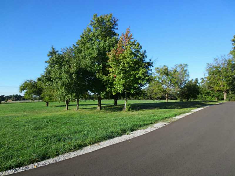 BEAUTIFUL PICTURESQUE LOTS ON ACREAGE WITHIN 2 MILES OF PROMENADE, AMP AND MUCH MORE! SEE TO BELIEVE. UTILITIES AT STREET.
