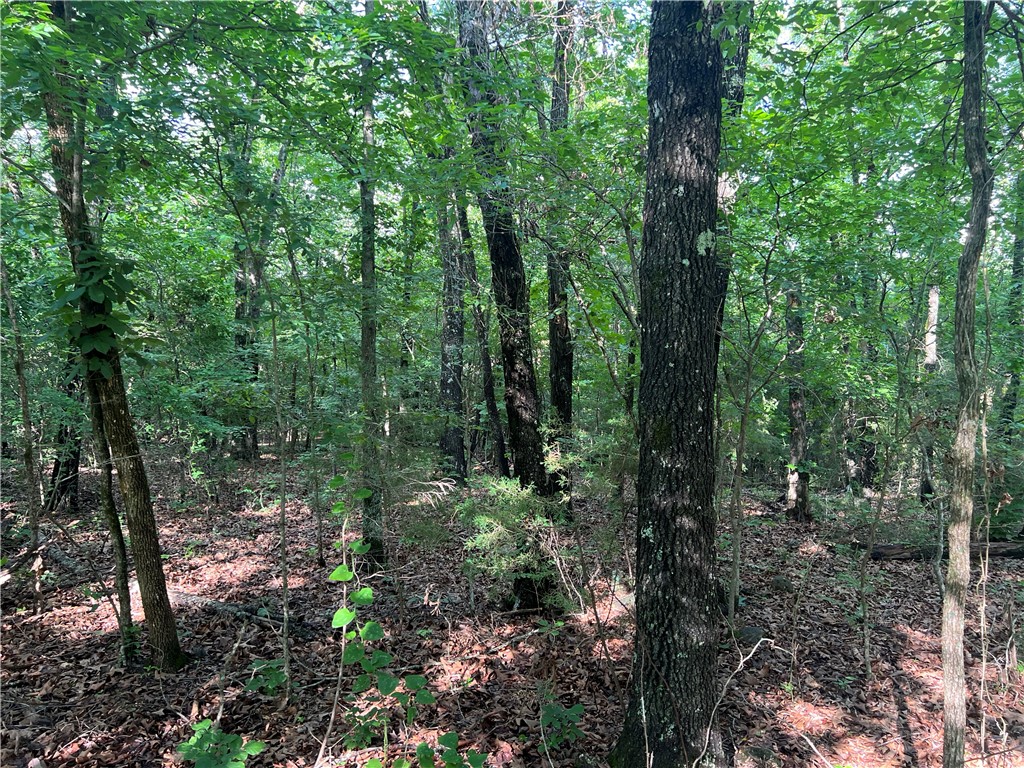 Come check out this wooded 5 Acres m/l with a nice building site. No Restrictions. Call today to schedule a showing.