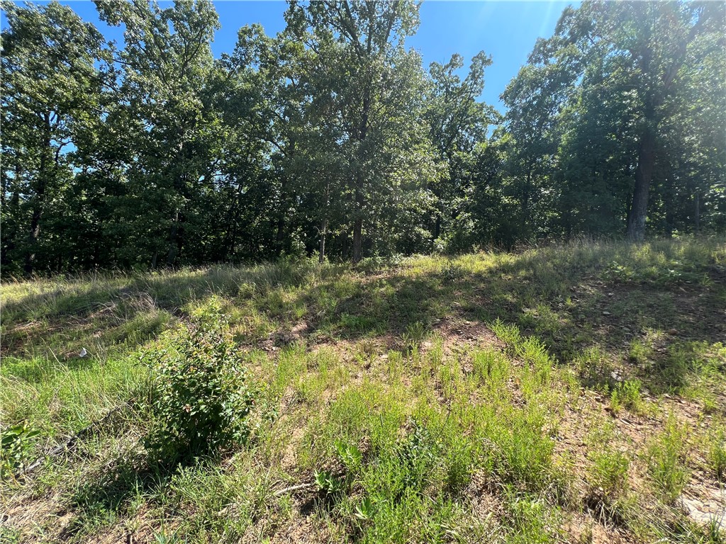 Lot located in the heart of Fayetteville, perfect to build your new home. Close to all popular restaurants and attractions