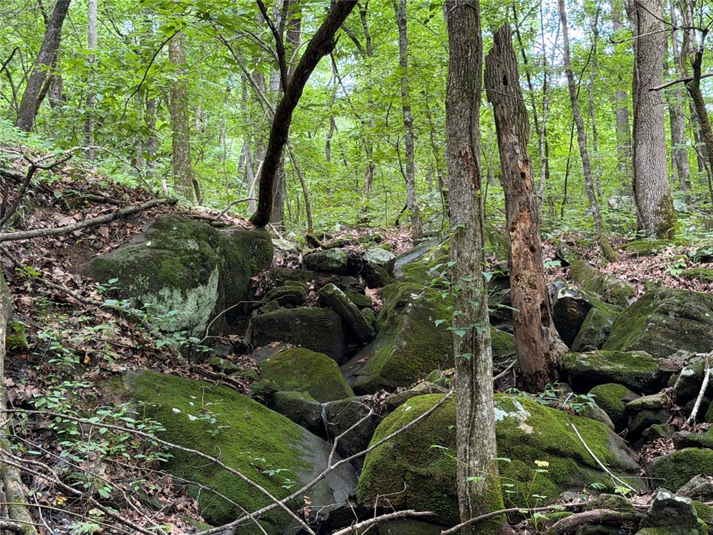 Discover 17.8 wooded acres just minutes from the Jasper Square in the heart of the Ozarks. This private tract offers a peaceful setting filled with mature timber, abundant wildlife, and a seasonal creek that adds to the natural beauty of the property. Whether you are looking for a place to build a home or cabin, create a weekend getaway, enjoy hunting, or simply own a scenic piece of land near town, this property offers a great combination of privacy and convenience. Enjoy the quiet of the woods while remaining only a short drive from Jasper, the Buffalo National River, and all the outdoor recreation Newton County has to offer.