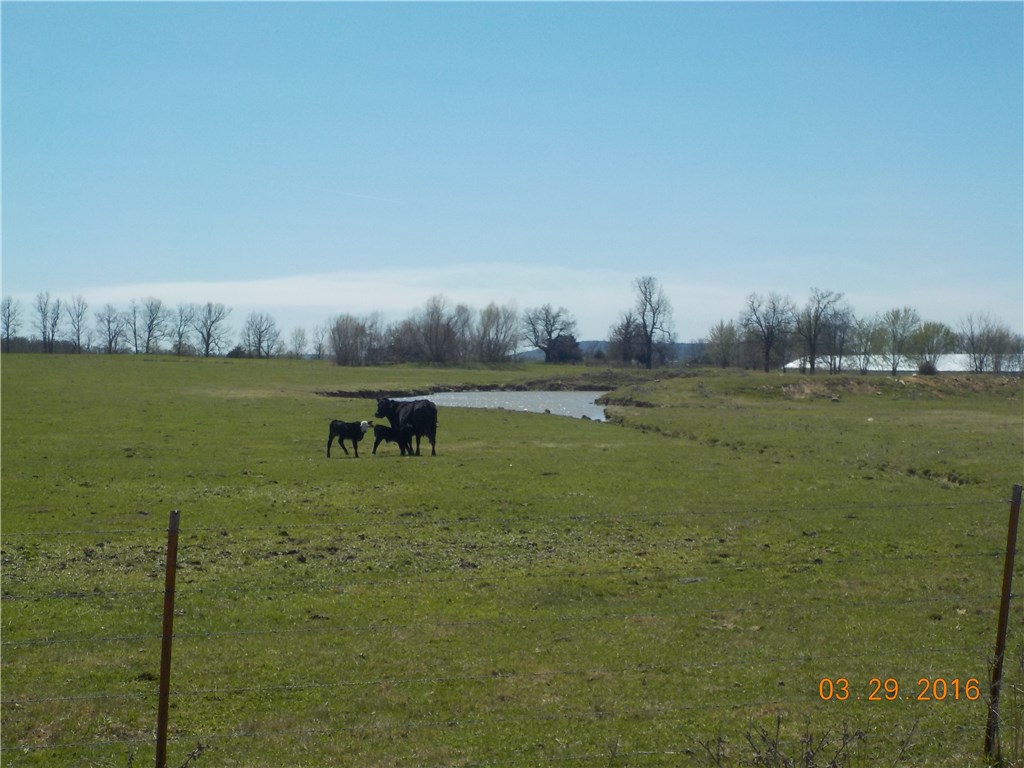 . - Farm