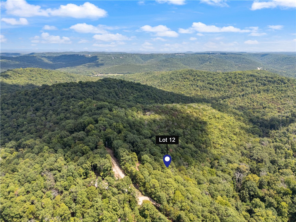 Located within the Wolf-Ridge Estate, this is a beautiful secluded lot towards the end of the CR206 gravel road. Stunning valley views with breathtaking sunrises. Mature trees such as oak, walnut, cedar and pines. The forested property has already had some clearing done to prepare for a home site offering both privacy and stunning valley views. Electric is accessible from the CR206; well and septic will be required.

You’re only a couple miles from the brand new Opera and Performing Arts facility (Opera in the Ozarks). The Victorian town of Eureka Springs with wonderful restaurants and attractions is just minutes away. The new regional airport is only 46 miles with connections to most major domestic cities.

For the outdoors person, there is trout fishing, or kayaking etc. on the White River, Beaver and Table Rock lake and are all just minutes away. Call the agent today. Need more acreage, buy the adjoining lot while available for added privacy.