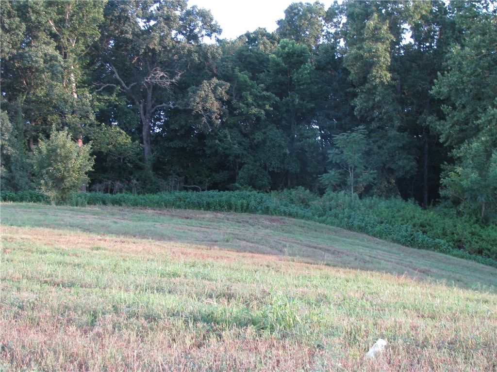 Fantastic level building site in the Gated Community of Creekstone Estates. Enjoy the privacy with convenient access to Downtown Bentonville, Trails, Schools, Dining & Entertainment. Build your Dream Home today with the exclusive builder Van Construction, or bring your own builder. Minimum sfqt.3500.