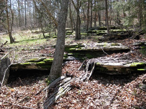 Red Bluff Heights - Land